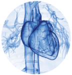 CSI Blue Coronary Cardiovascular System in a Circle